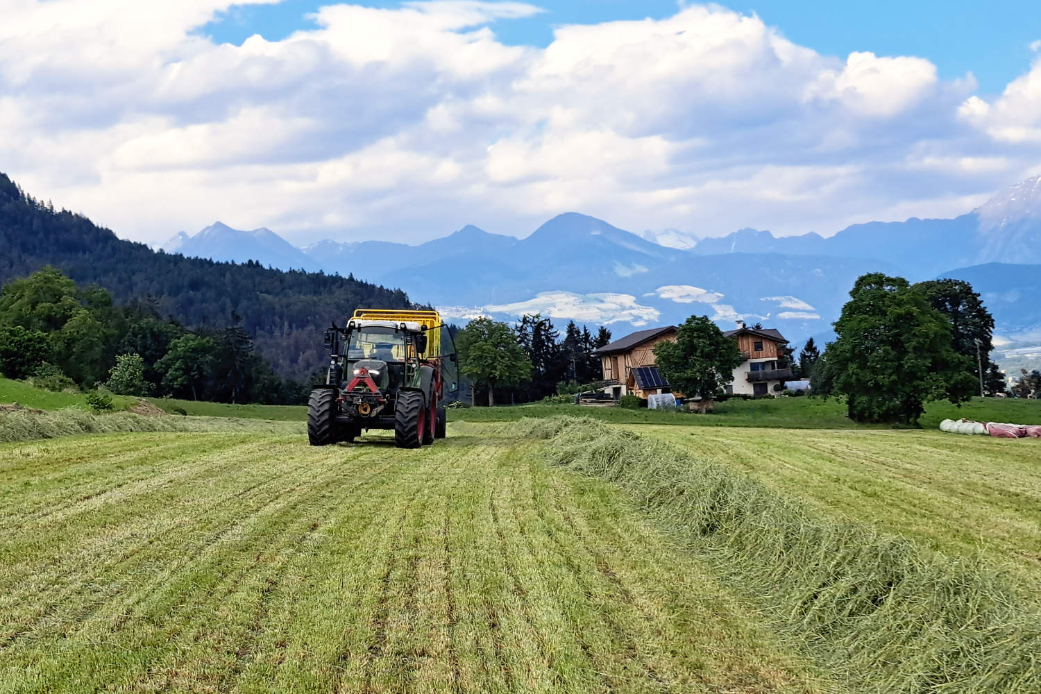 Mit dem Traktor wird das Heu eingefahren.